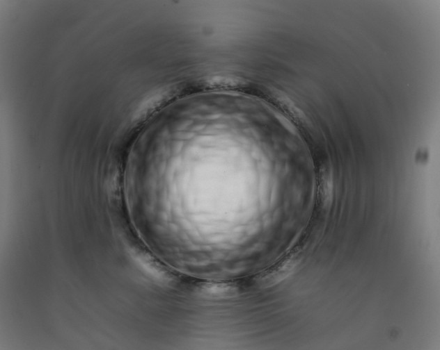 X0000092260619200709281205