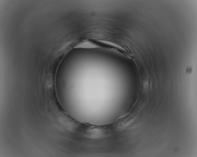 X0000092260620200709281205