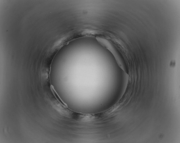 X0000092260621200709281205