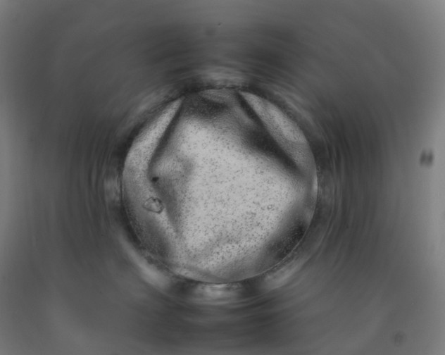 X0000092260622200709281205