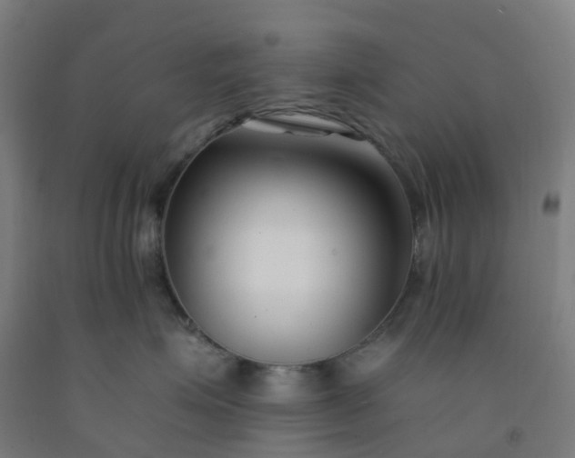 X0000092260623200709281205