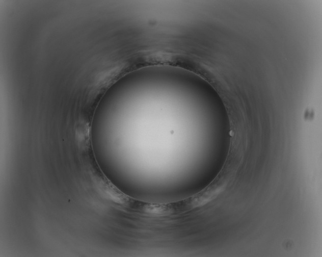 X0000092260624200709281205