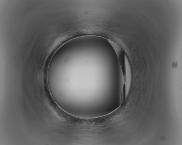 X0000092260626200709281204