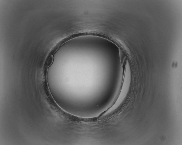 X0000092260628200709281204