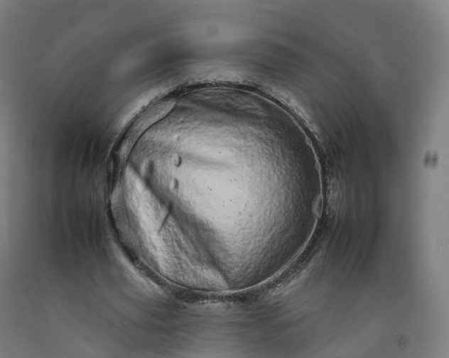 X0000092260629200709281204