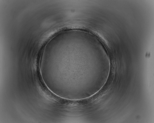 X0000092260631200709281204