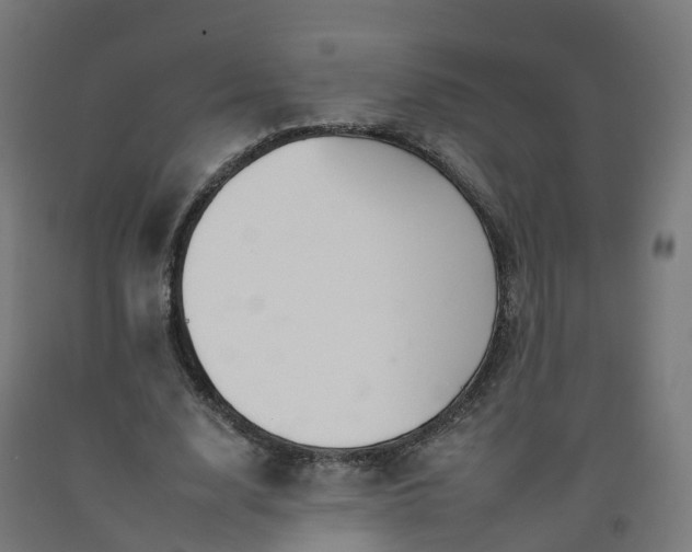 X0000092260632200709281204