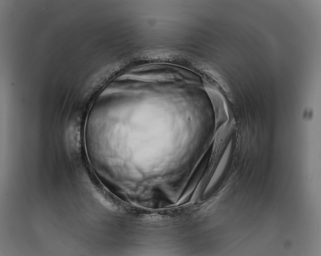 X0000092260633200709281204