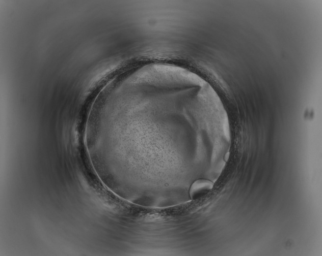 X0000092260635200709281204