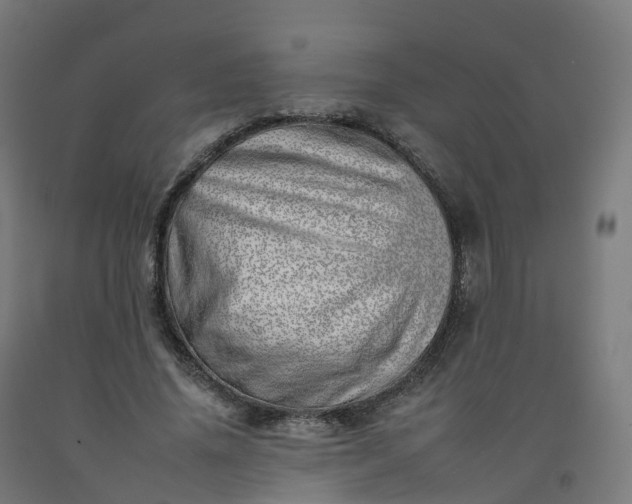 X0000092260636200709281205