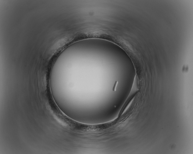 X0000092260638200709281205