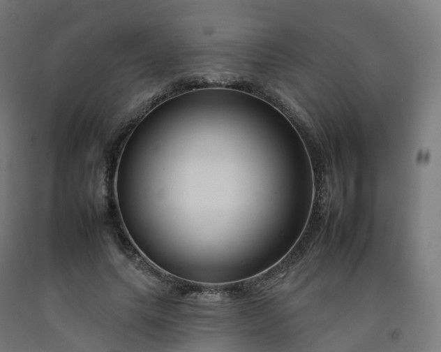 X0000092260639200709281205