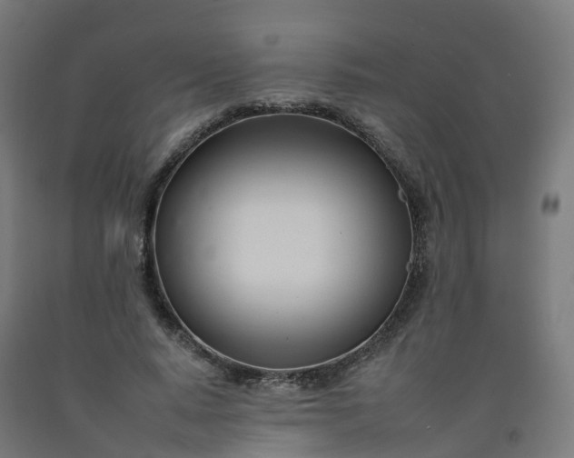 X0000092260640200709281205