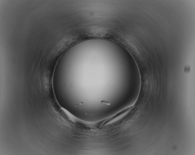 X0000092260641200709281205