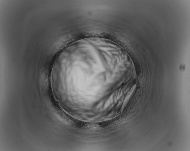 X0000092260642200709281205