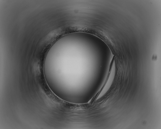 X0000092260643200709281205