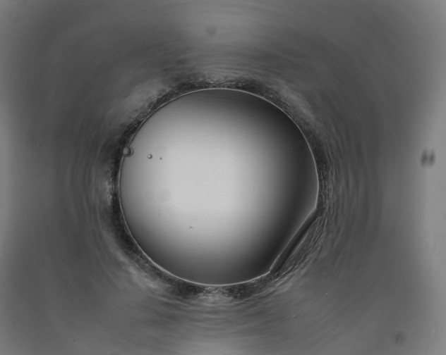 X0000092260644200709281205