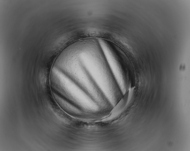 X0000092260645200709281205