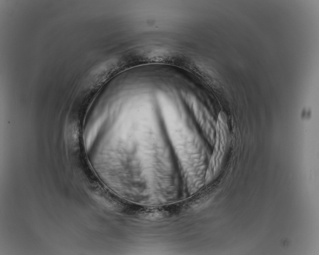 X0000092260646200709281205