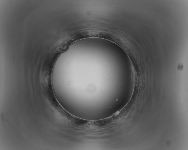 X0000092260648200709281205