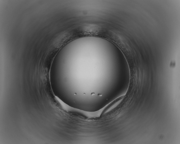 X0000092260649200709281205