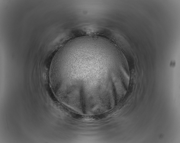 X0000092260650200709281205