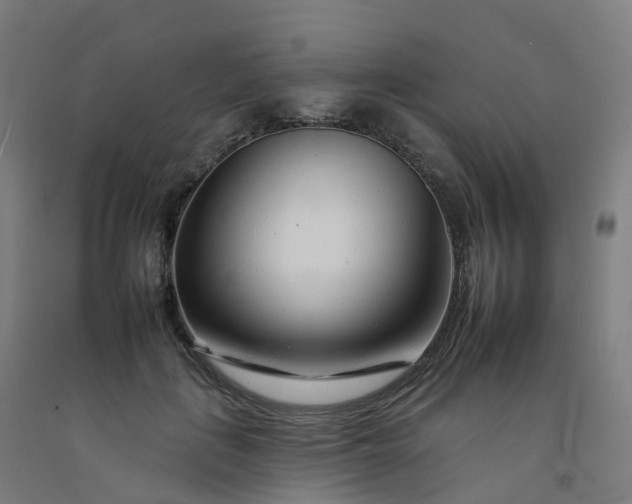 X0000092260651200709281205