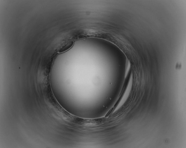 X0000092260653200709281205