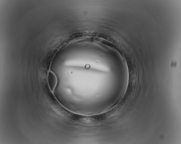 X0000092260654200709281205