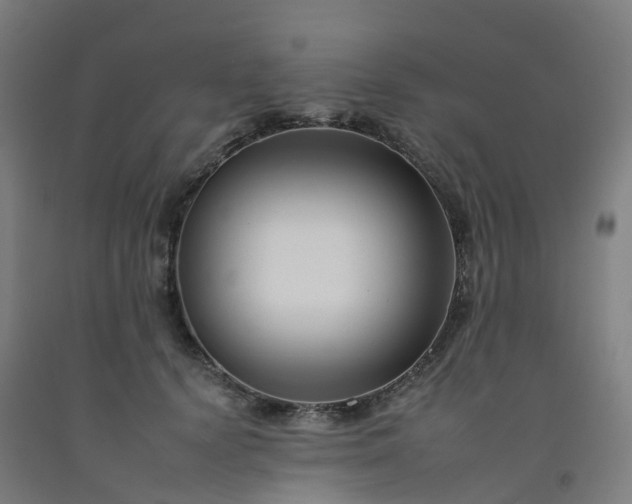 X0000092260656200709281205