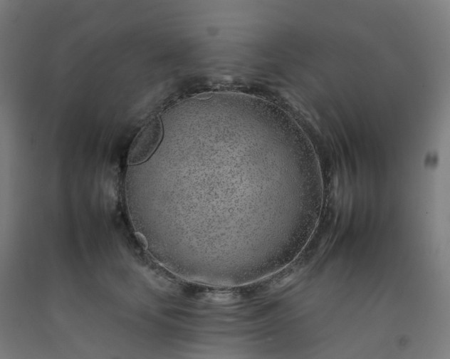 X0000092260659200709281205