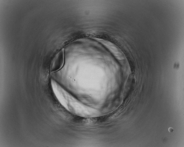 X0000092260660200709281205