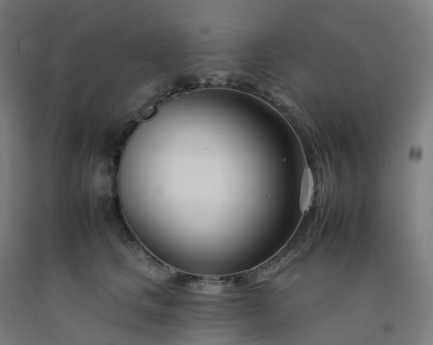 X0000092260661200709281205