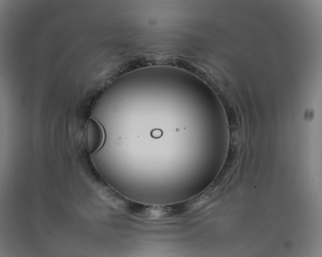 X0000092260662200709281205