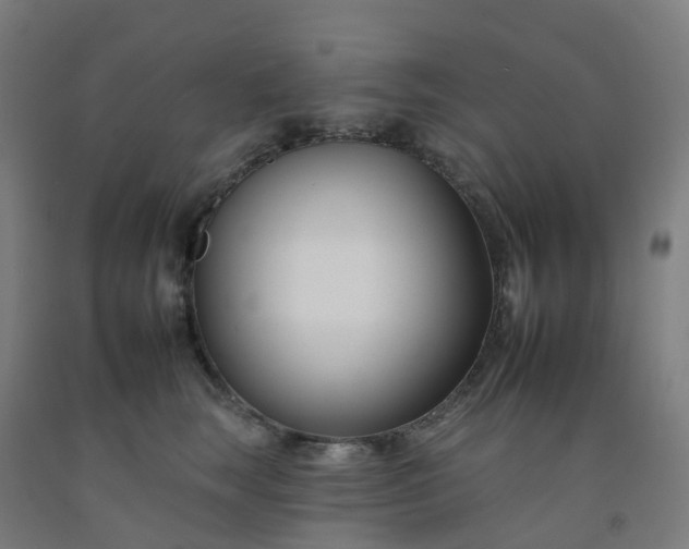 X0000092260663200709281205