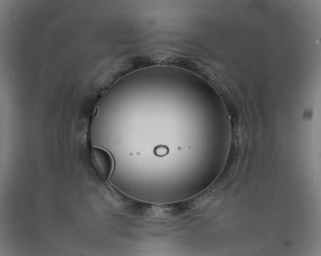 X0000092260664200709281205