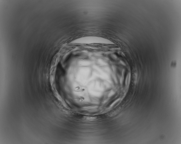 X0000092260665200709281205