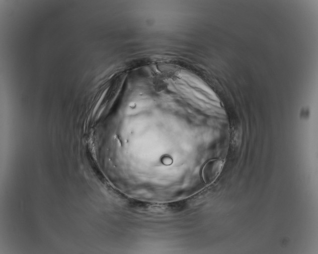 X0000092260666200709281205