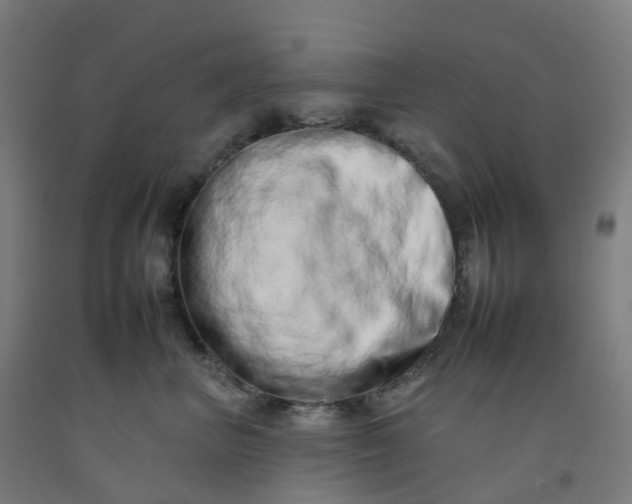 X0000092260667200709281205