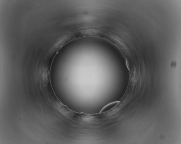 X0000092260669200709281205