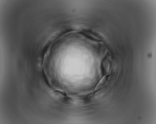 X0000092260670200709281205