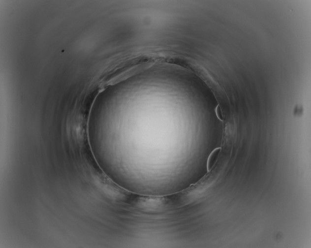 X0000092260671200709281205