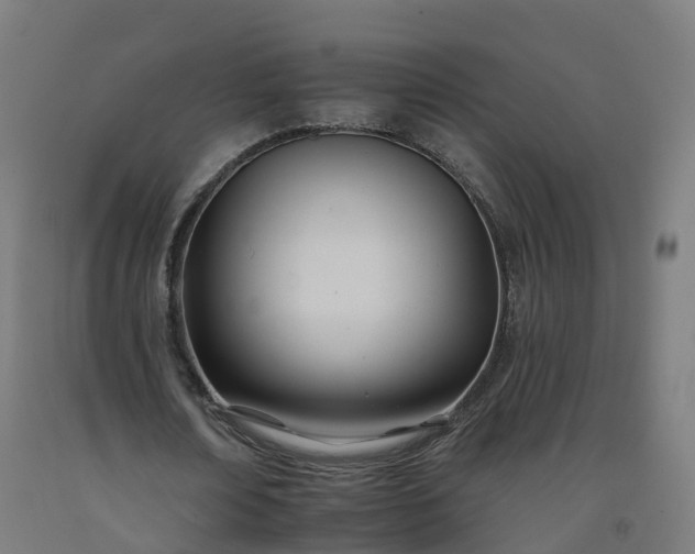 X0000092260674200709281204