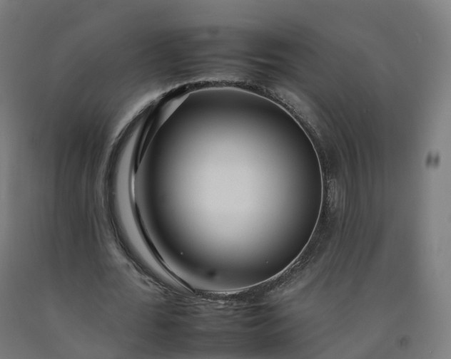 X0000092260676200709281204