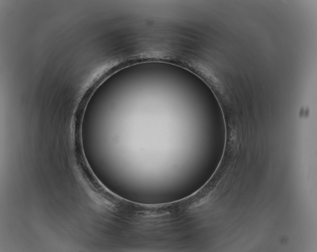 X0000092260678200709281204