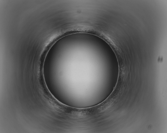 X0000092260679200709281204