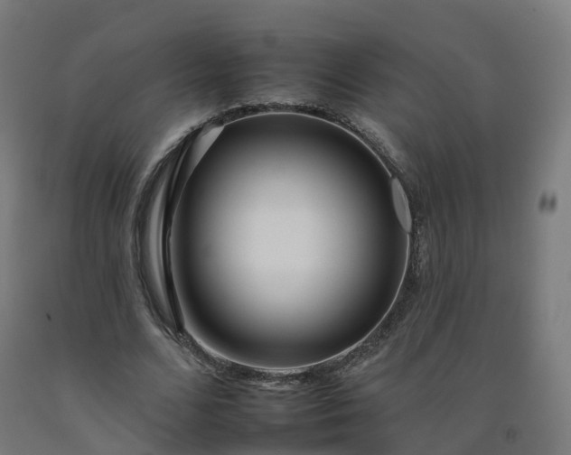 X0000092260680200709281204