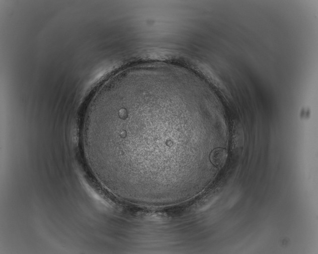 X0000092260683200709281204