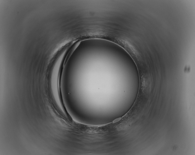 X0000092260684200709281204