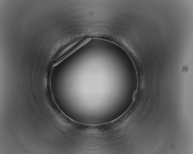 X0000092260685200709281204